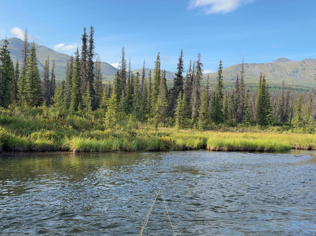 Denali Fly Fishing Guides-坎特维尔必去景点