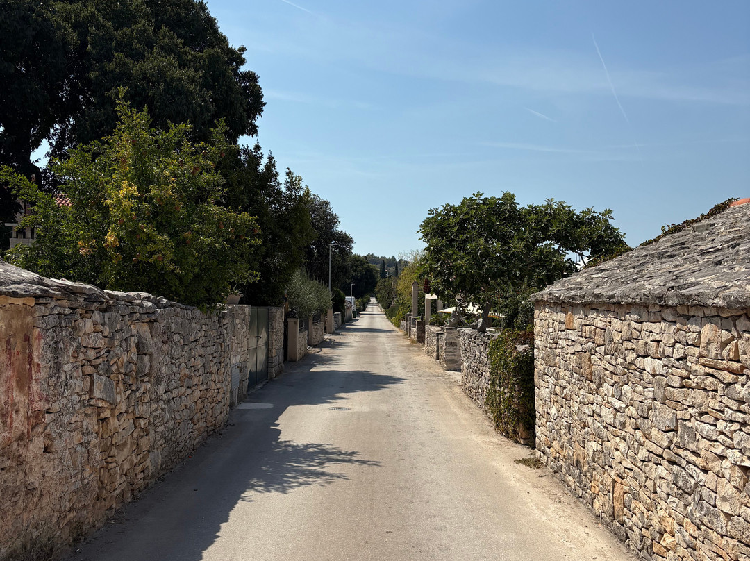 The Island of Brač Museum - Škrip-Skrip必去景点
