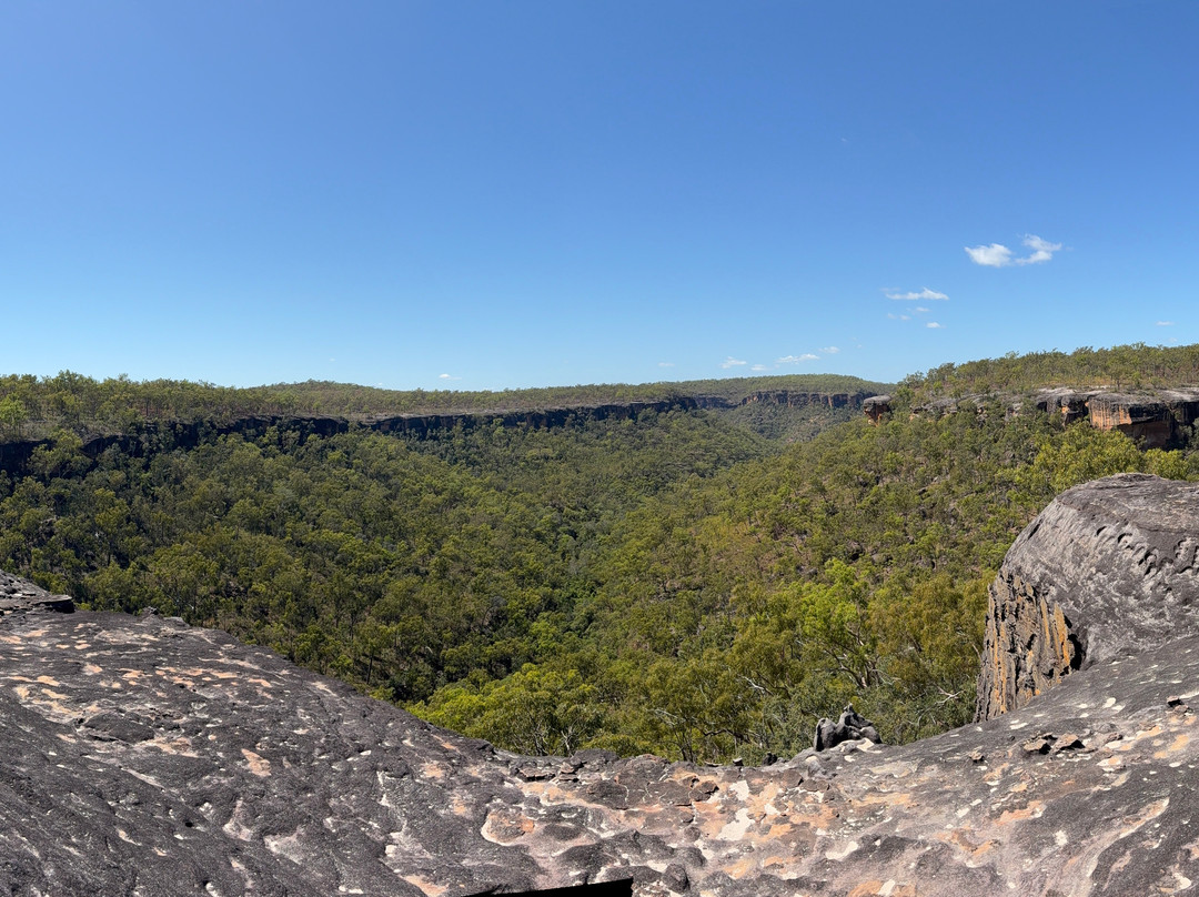 Jarramali Rock Art Tours-凯恩斯必去景点