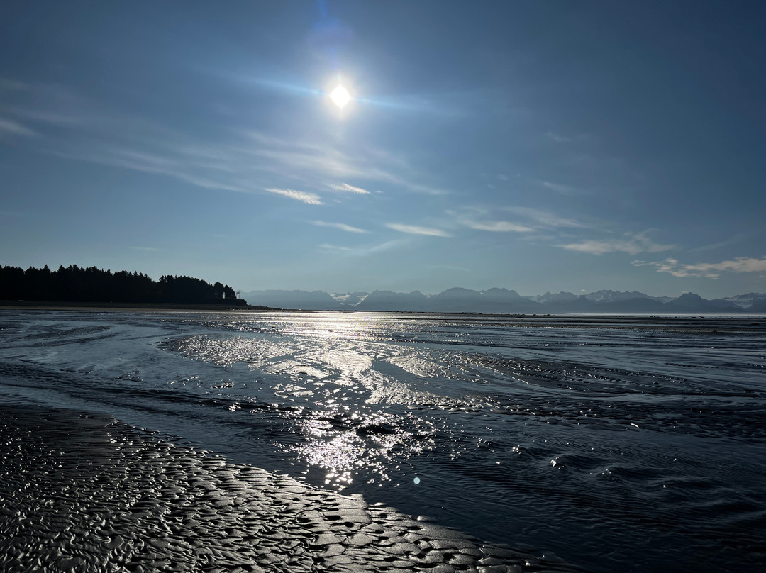 漂流木旅馆及海滨小屋主图