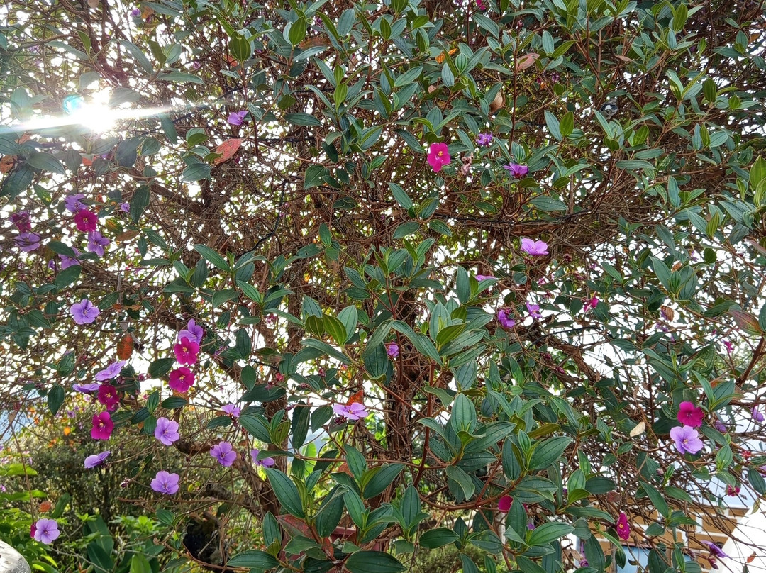 Ecoturismo La Nohelia-Jerico必去景点