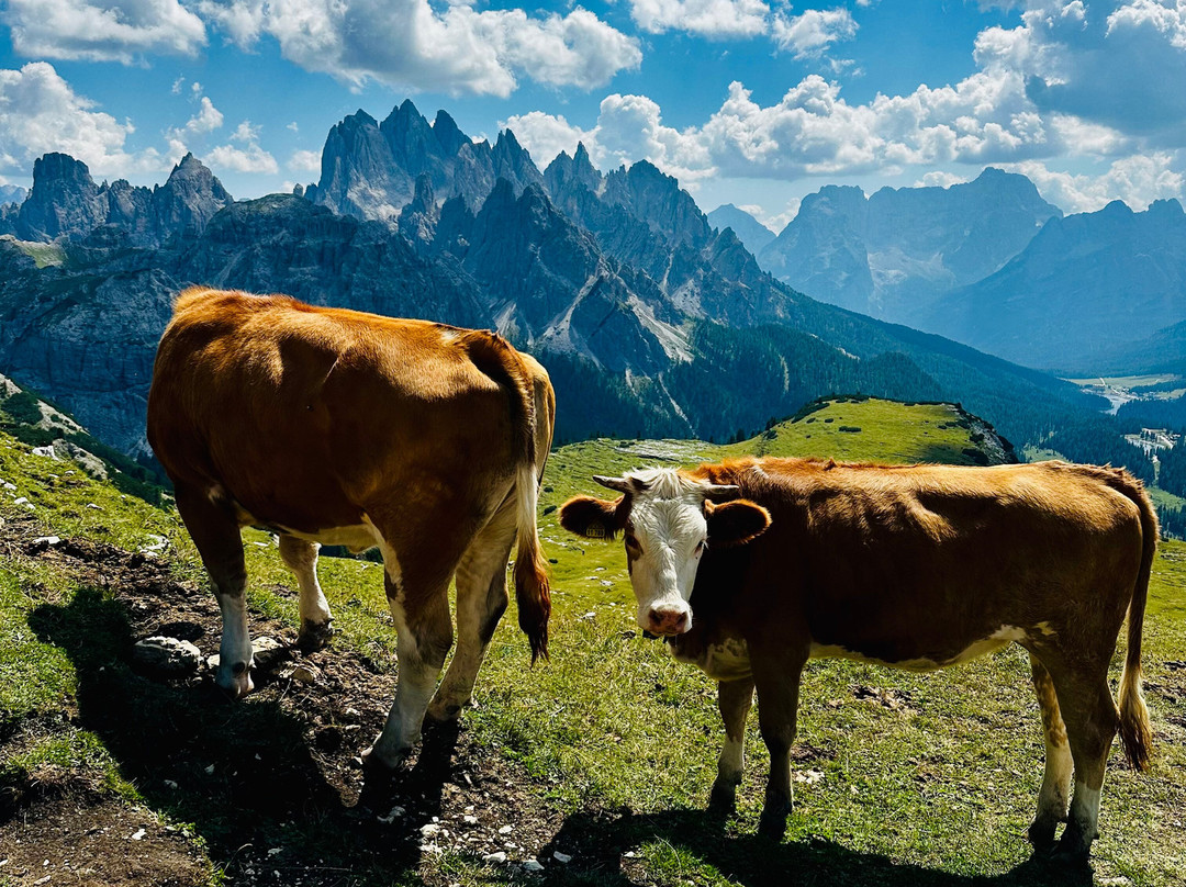 Tre Cime Di Lavaredo-奥龙佐迪卡多雷必去景点