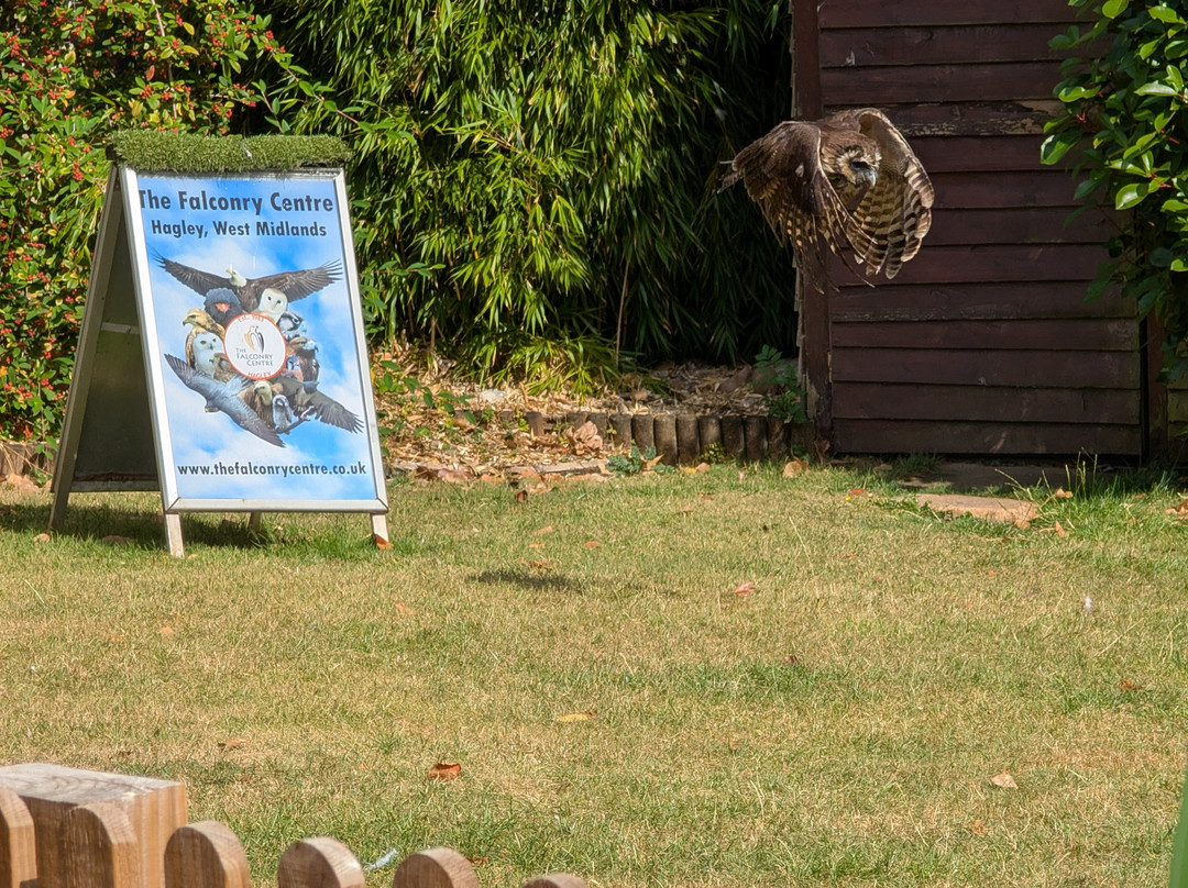 The Falconry Centre-Hagley必去景点