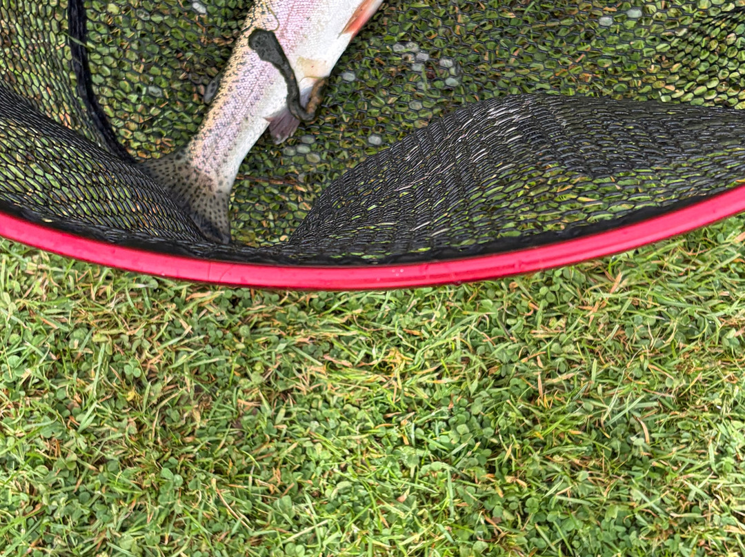 Gilcrux Springs Trout Fishery-Gilcrux必去景点