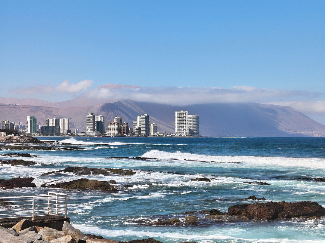 Playa Cavancha-伊基克必去景点