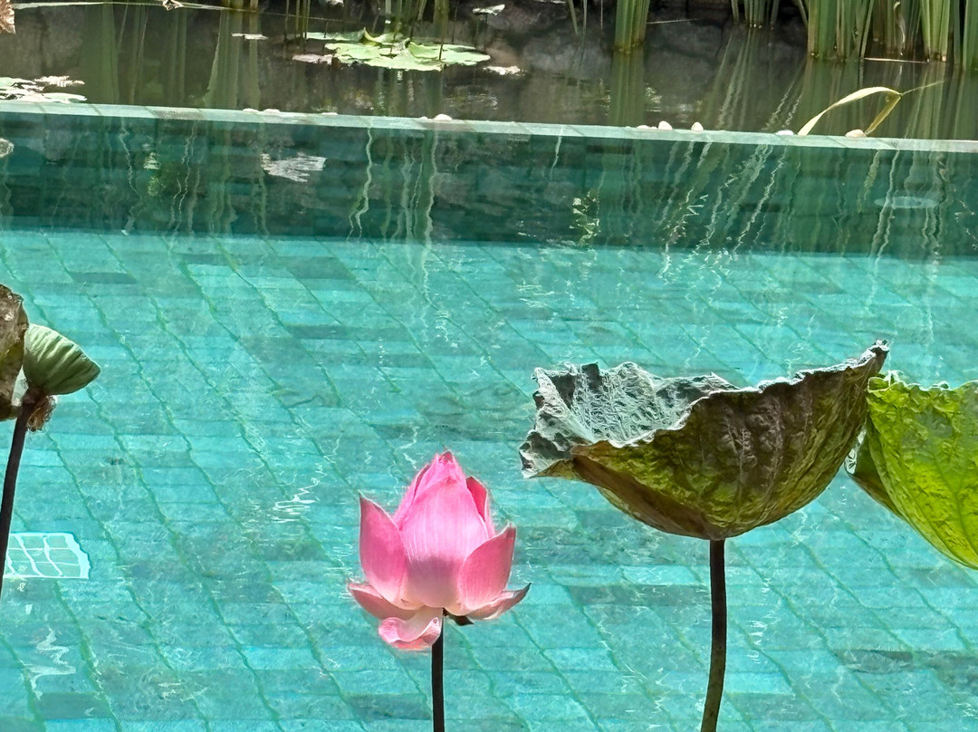 Kamalaya Koh Samui主图