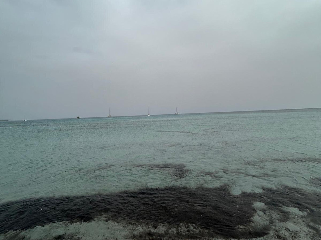 Spiaggia di Capo Comino-Siniscola必去景点