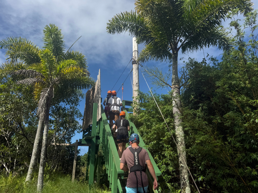 Jungle Zipline Maui-海库必去景点