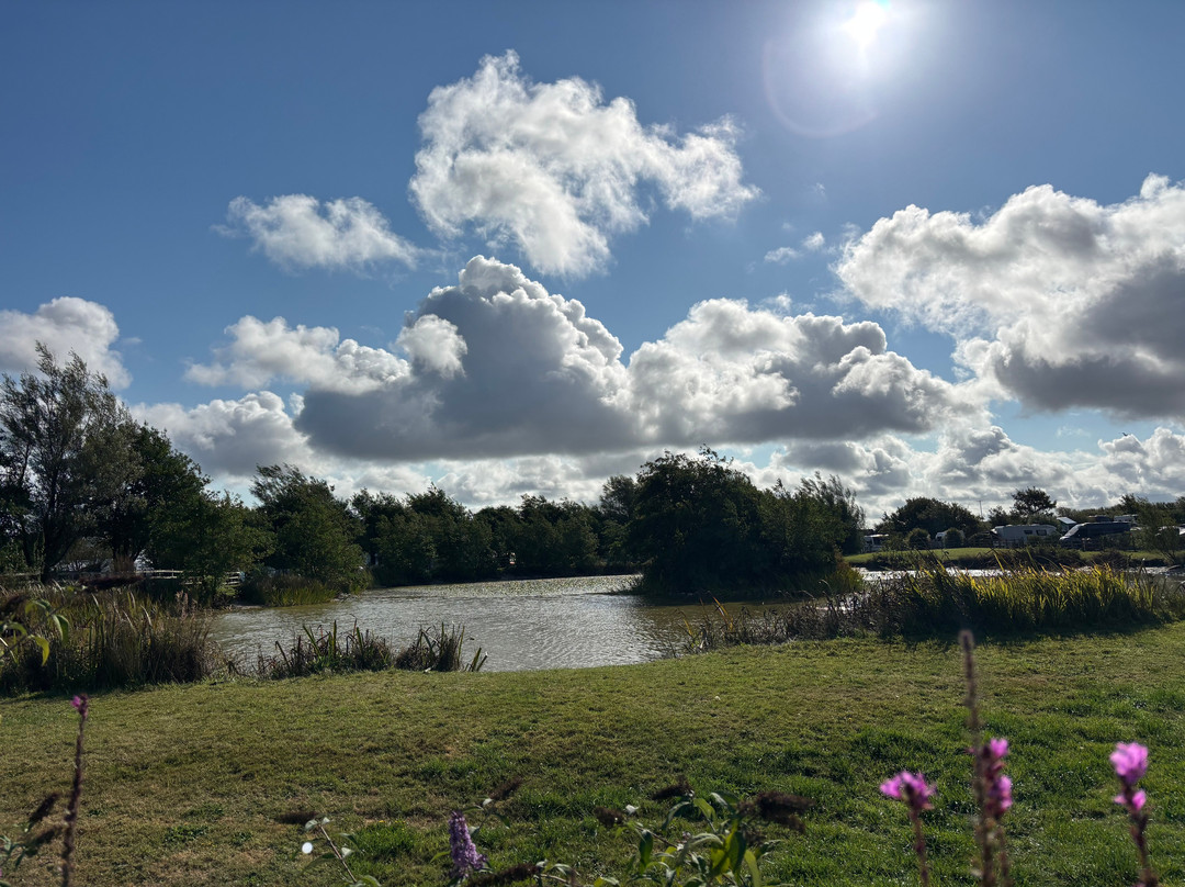 Warcombe Farm Camping Park主图