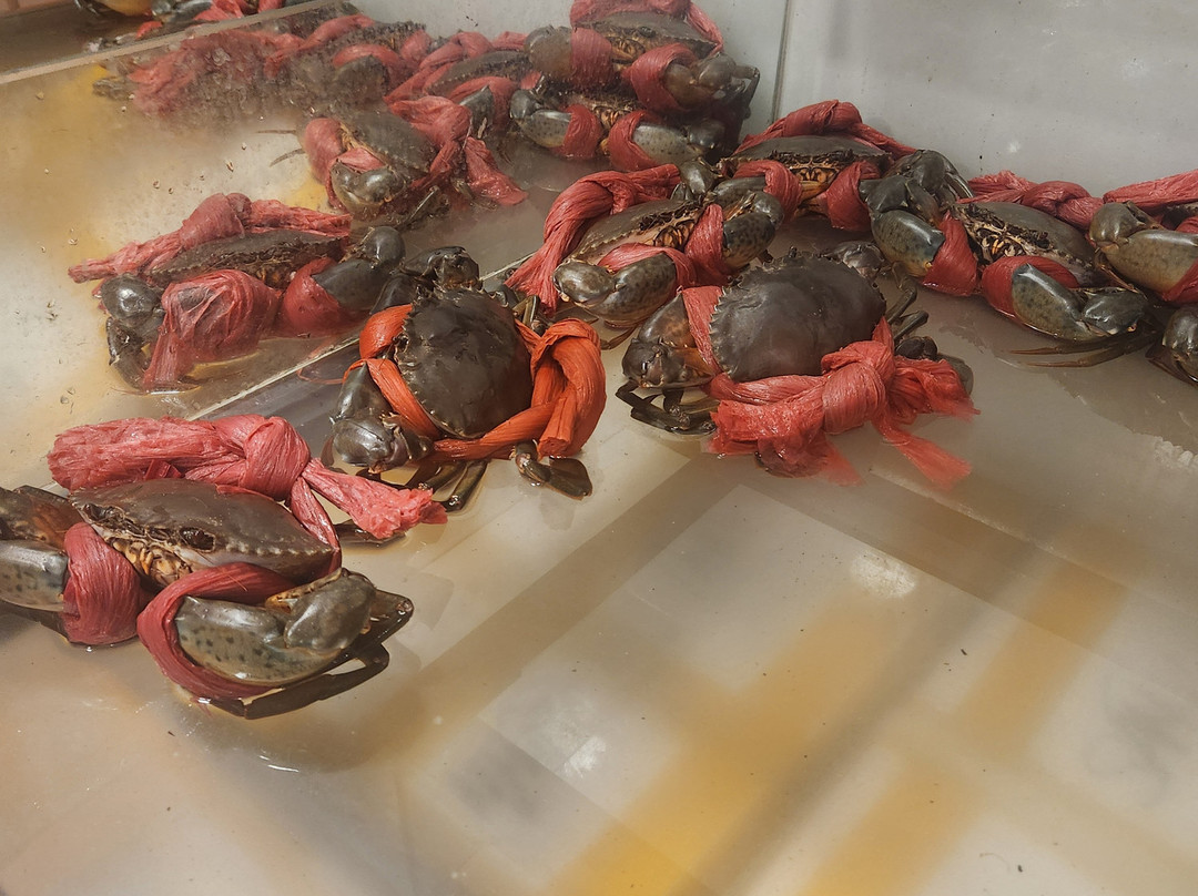 Redcrab