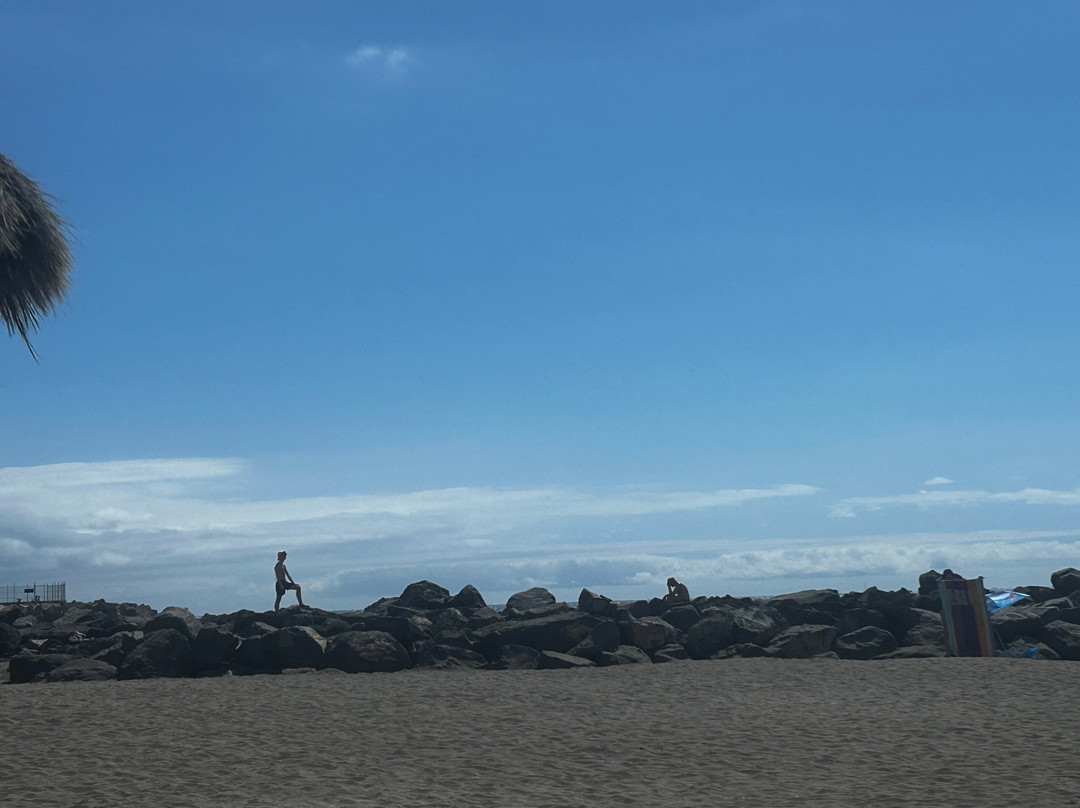 Playa de Torviscas-特纳里夫必去景点