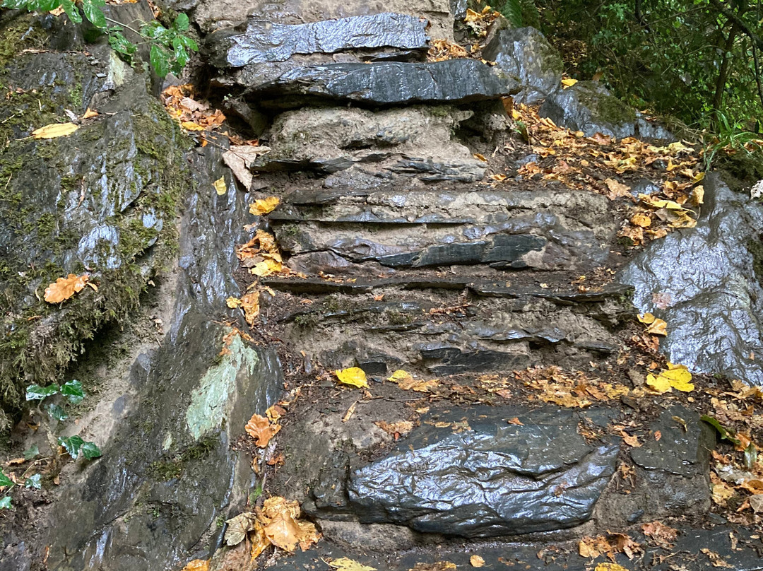 Fairy Glen-Betws-y-Coed必去景点