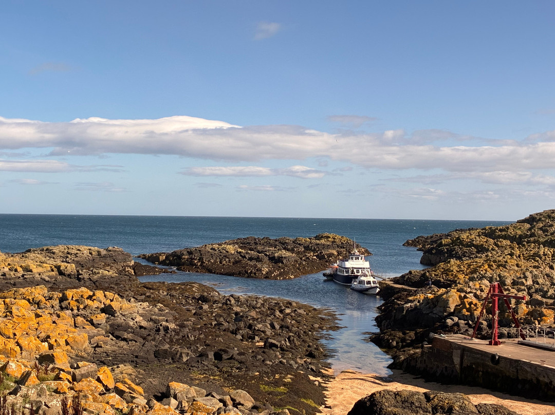 Anstruther Pleasure Cruises-Boat Day Tours-Anstruther必去景点