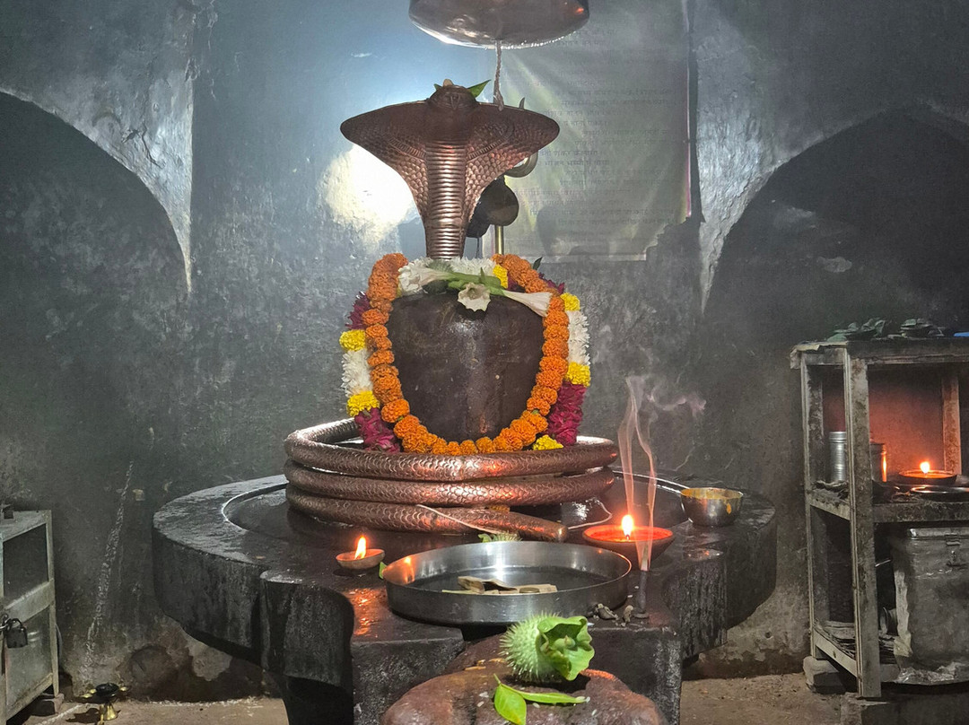 Ganesh Temple-瑟瓦伊马托布尔必去景点