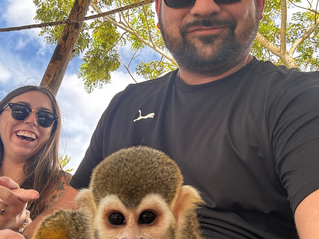 Monkey Home Puerto Plata-普拉塔港必去景点