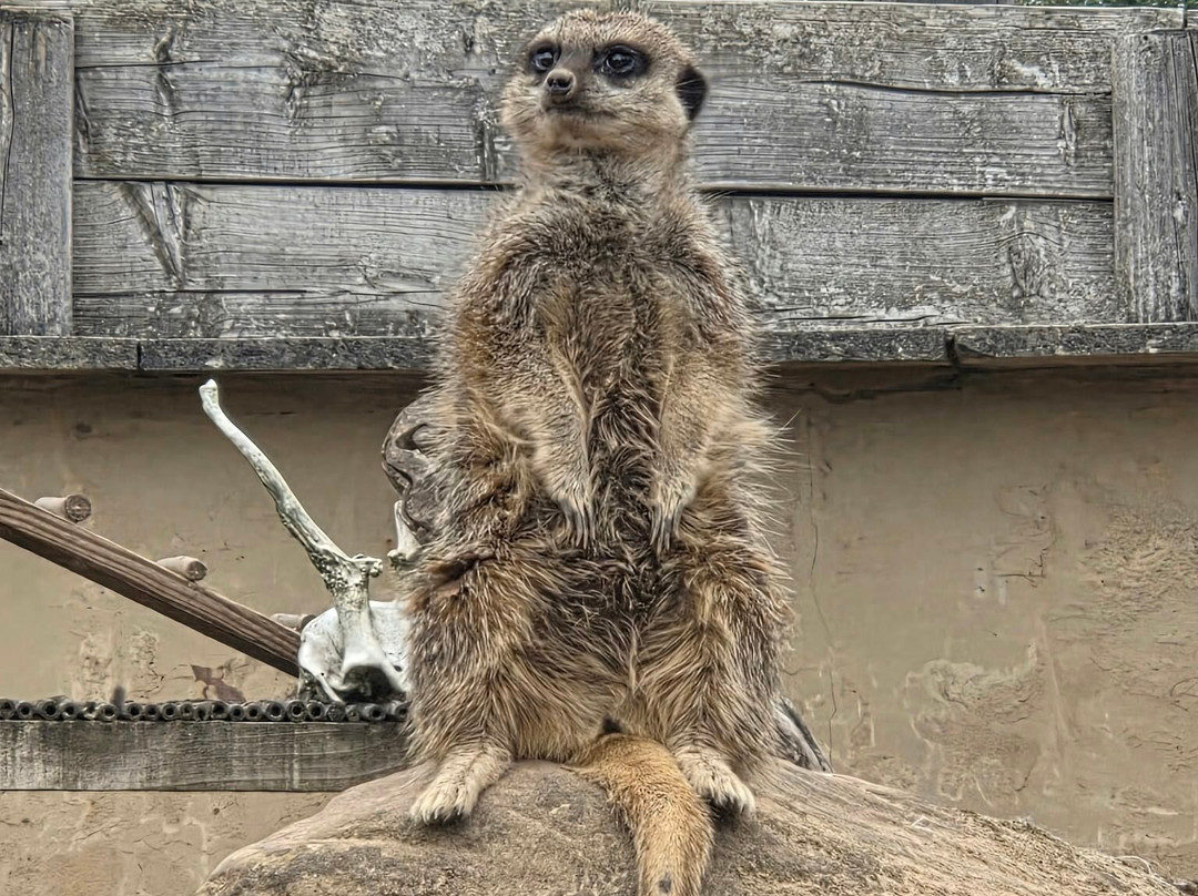 Peak Wildlife Park-Winkhill必去景点