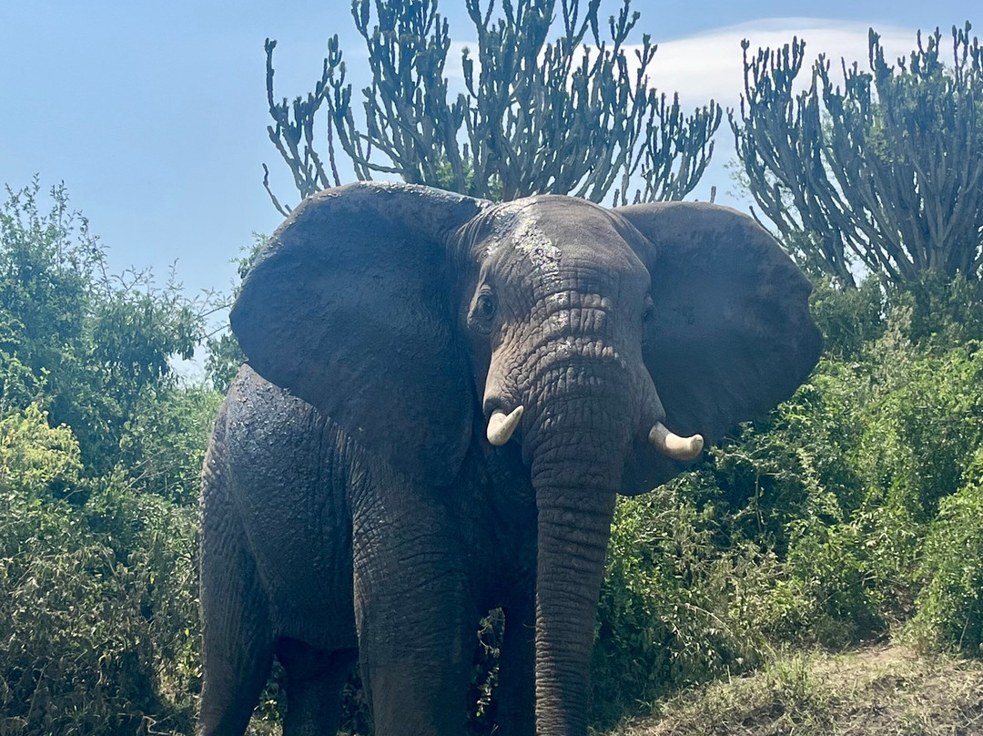 Grassrootz Adventures Uganda-坎帕拉必去景点