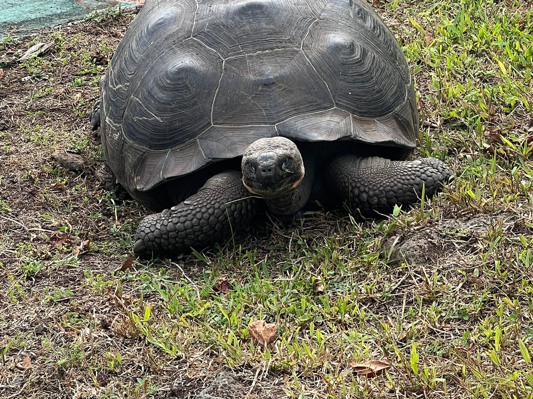 Reserva Galápagos Frontier-圣克鲁斯必去景点