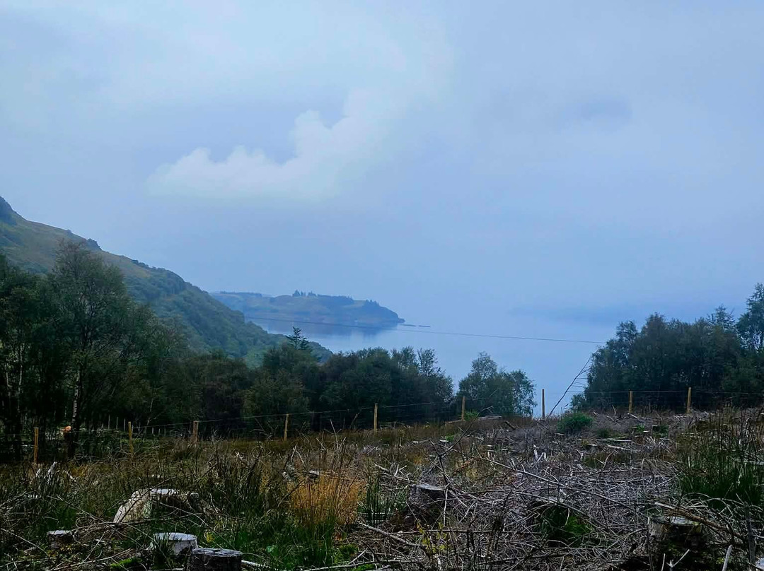 Highland Titles Nature Reserve-Duror必去景点