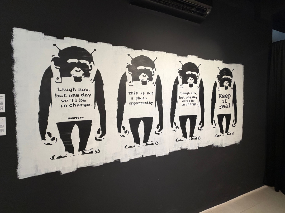 Banksy Universe Marrakech-马拉喀什必去景点