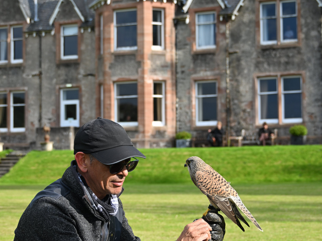 Shieldaig Falconry-盖尔洛赫必去景点