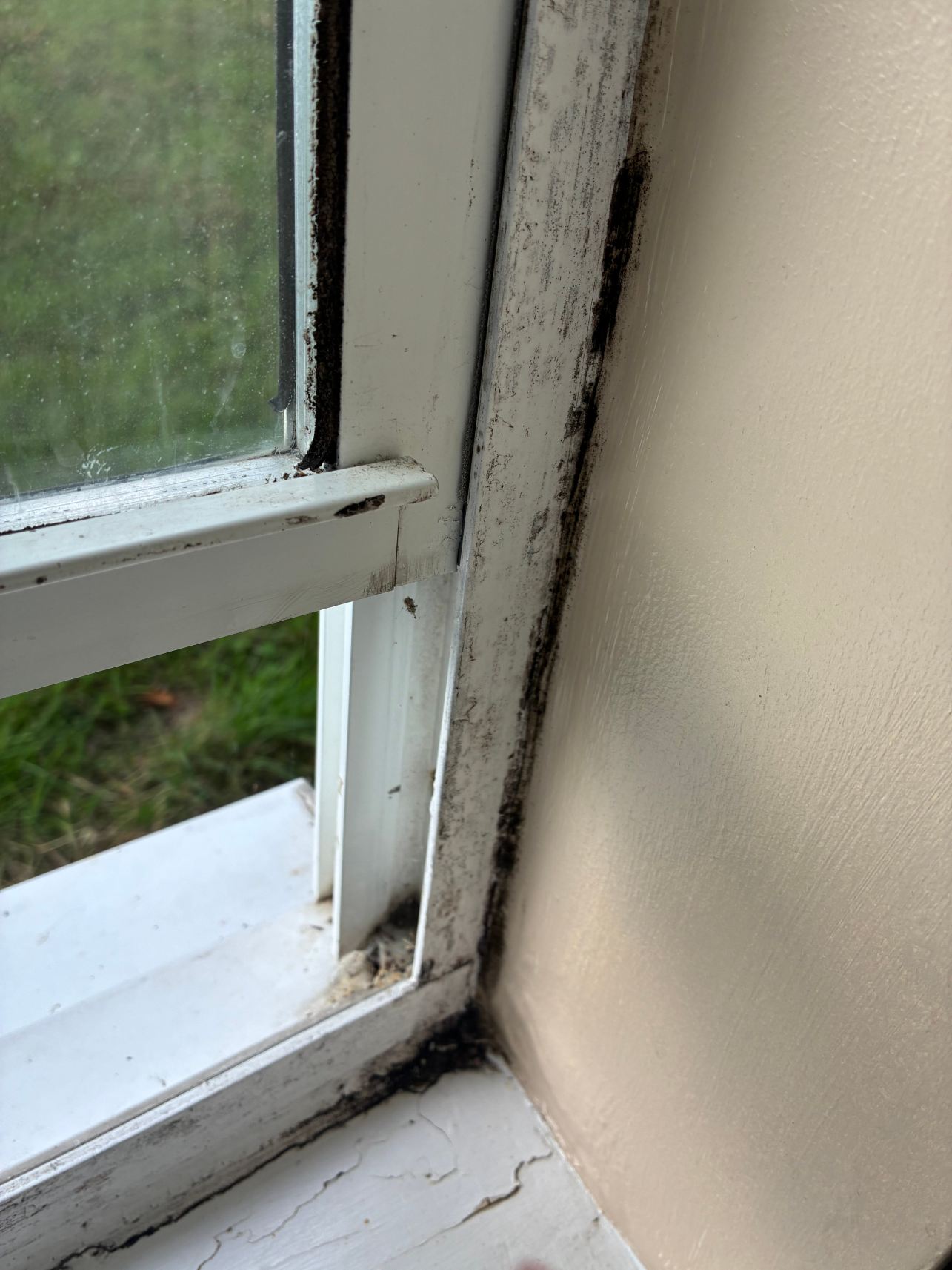 霍尔马克格罗切斯特酒店-旅行者