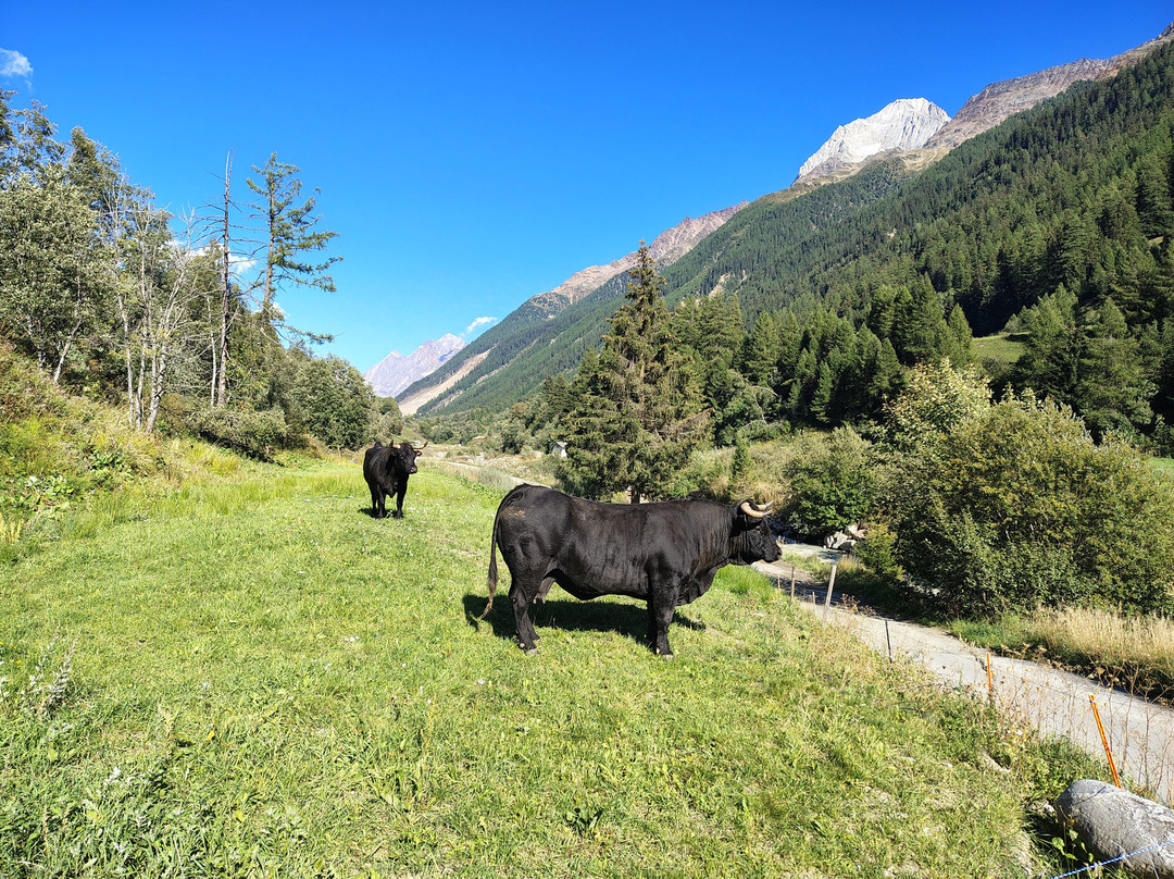 Lötschental-Wiler必去景点