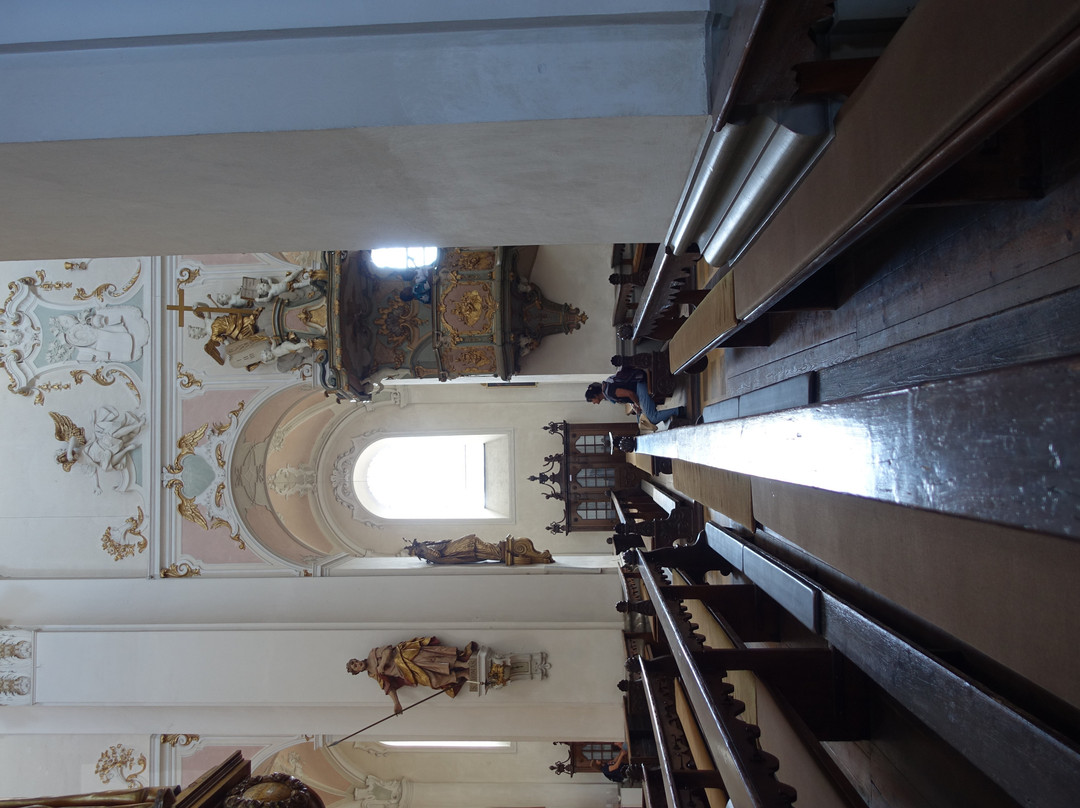Basilika St. Vitus-Ellwangen必去景点