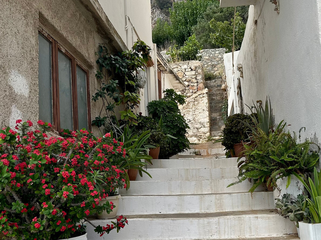 Kritsa Village-Kritsa必去景点