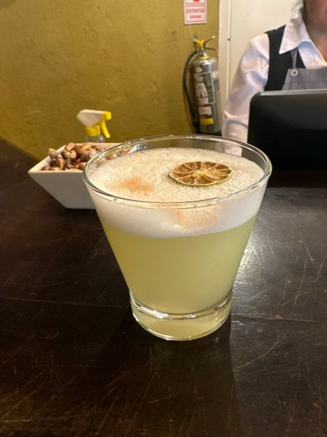 尤卡印加波萨达斯索尼斯塔酒店-旅行者