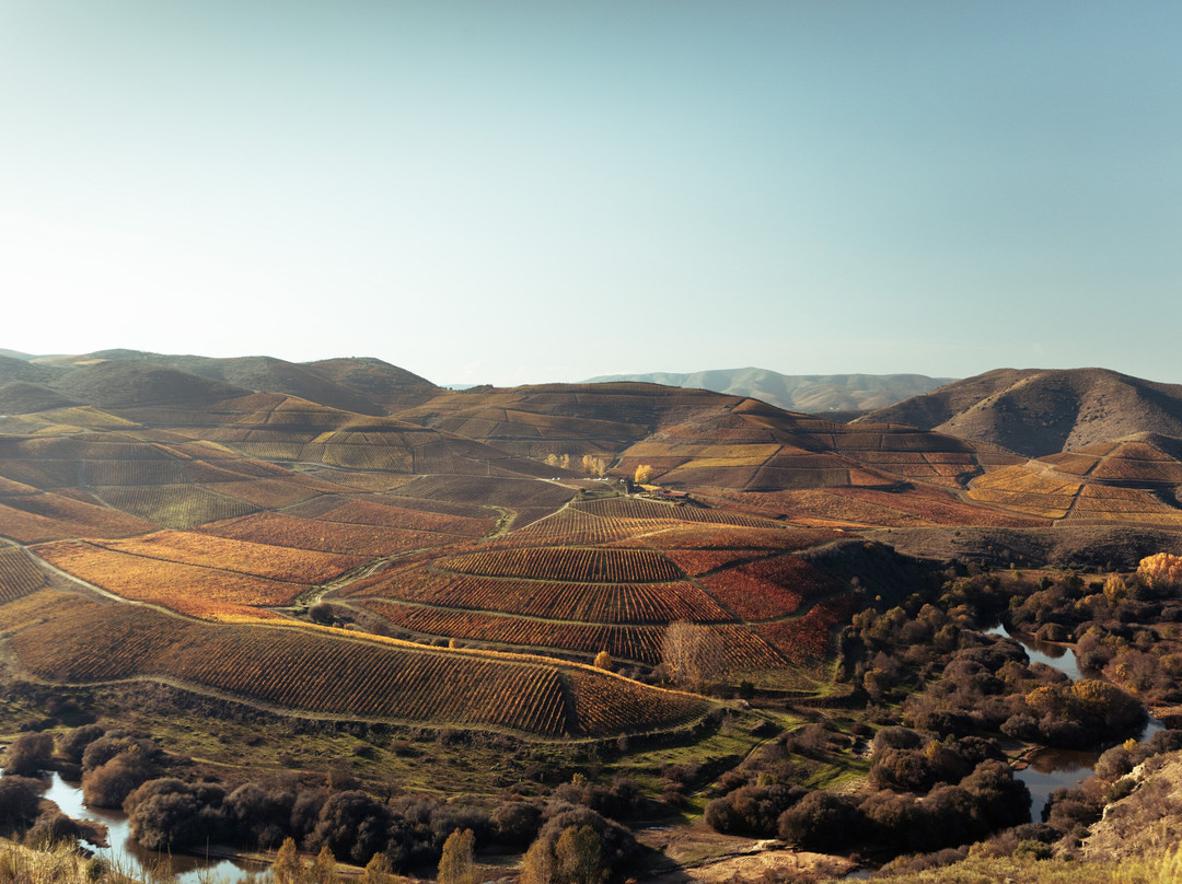 Quinta de Ervamoira-Vila Nova de Foz Coa必去景点