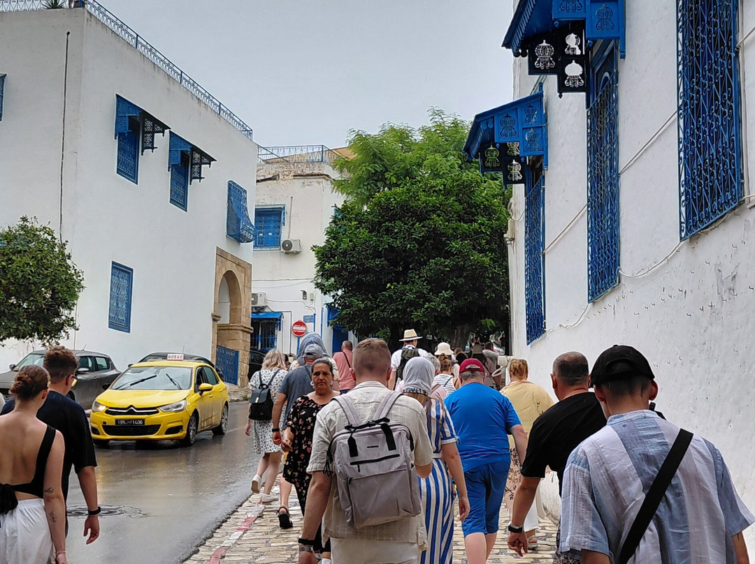 Mosquée De Sidi Bou Said-蓝白小镇必去景点