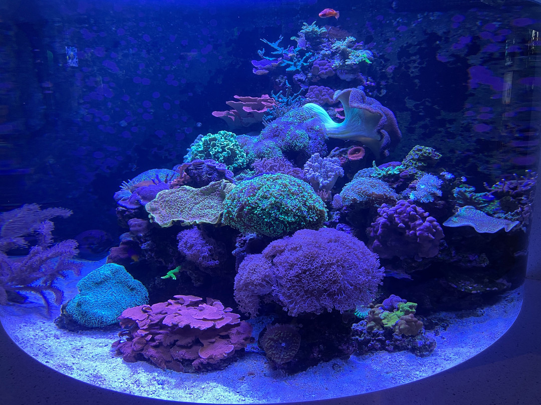 Oregon Coast Aquarium-纽波特必去景点