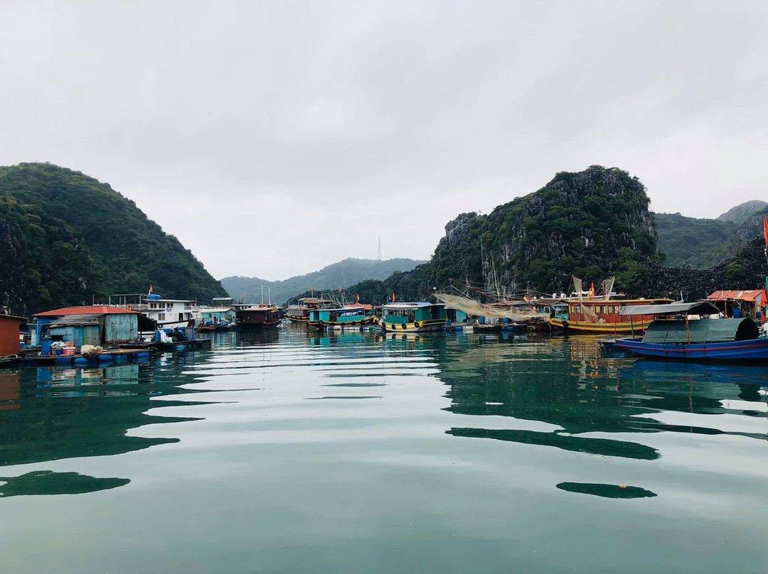 Hoa Cuong Cave-Gia Luan必去景点