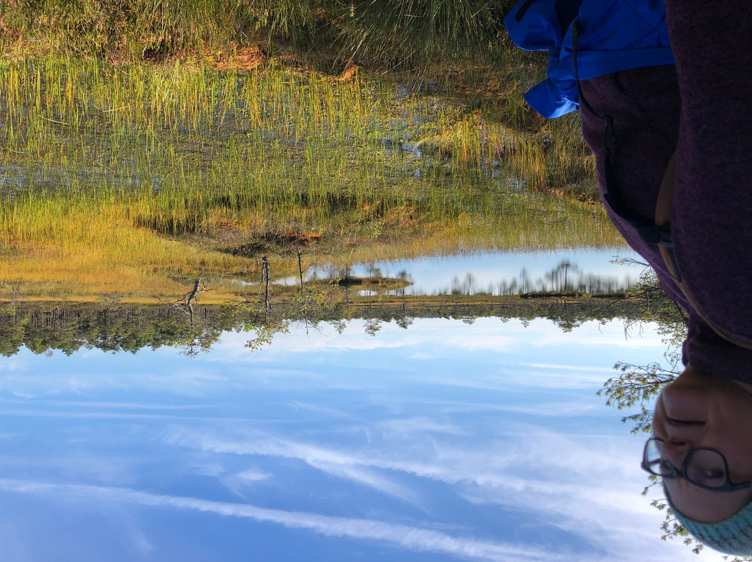Uuejärve Matkapesa hikes and accommodation @VisitKorvemaa next to @Lahemaa National Park-Aegviidu必去景点