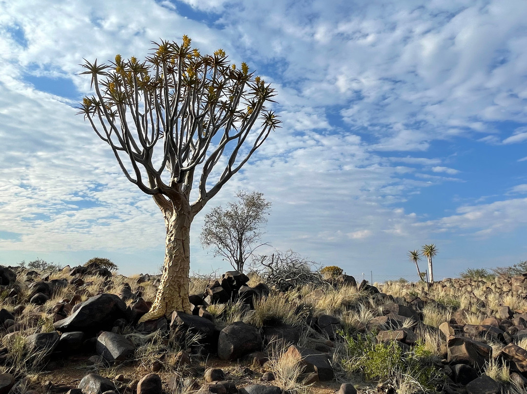 Garas Park Camp-Keetmanshoop必去景点