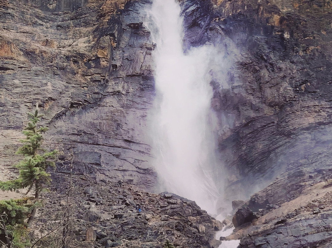 Takakkaw Falls-幽鹤国家公园必去景点