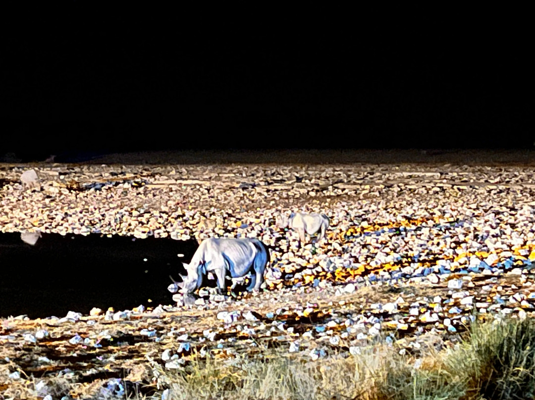 Okaukuejo waterhole-纳米比亚埃托沙国家公园必去景点