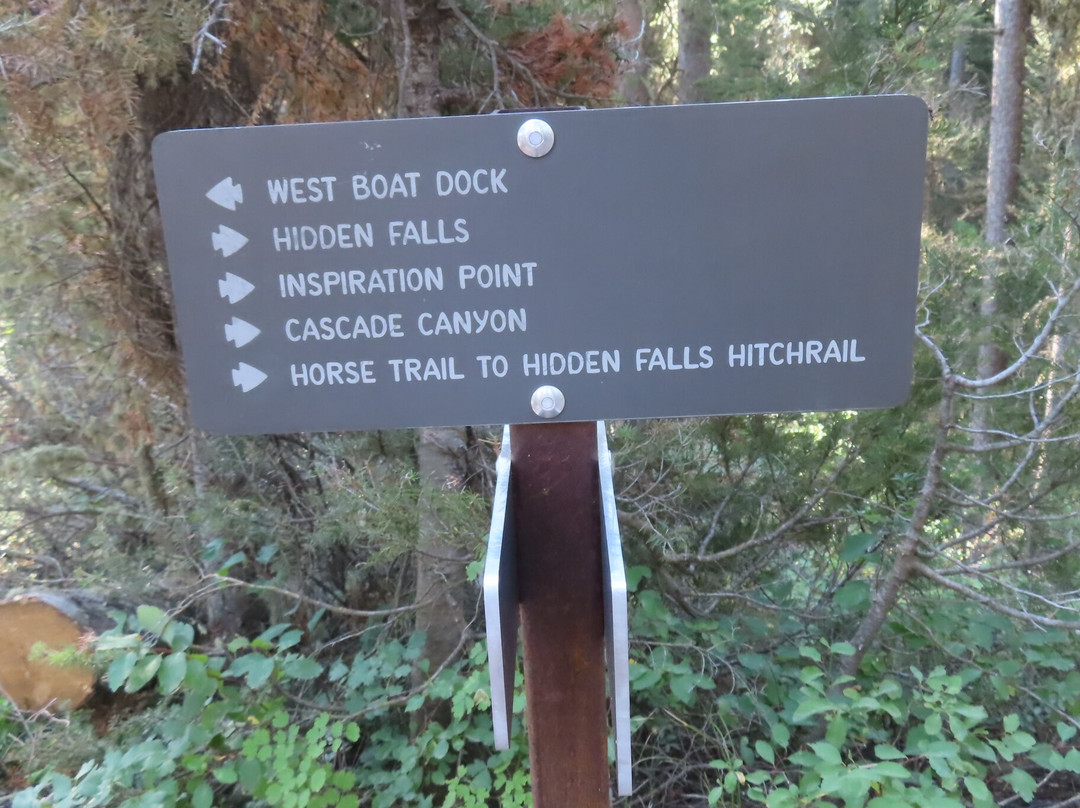 Jenny Lake Boating-穆斯必去景点