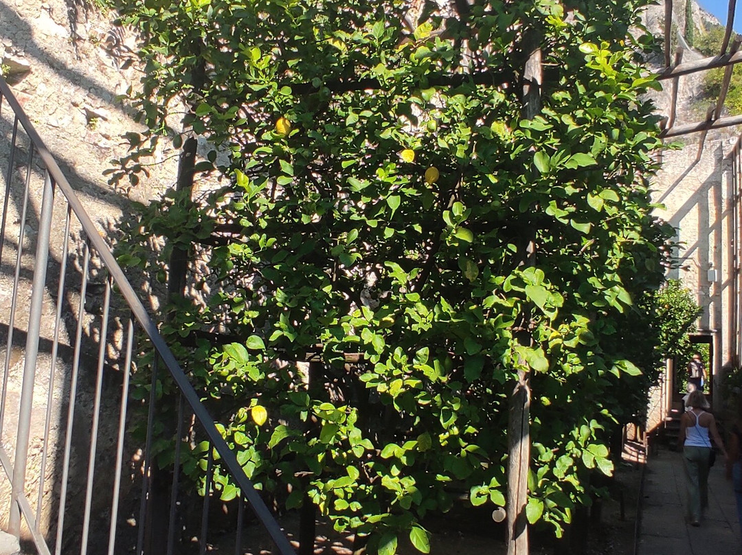 La Limonaia Del Castel-利莫内必去景点