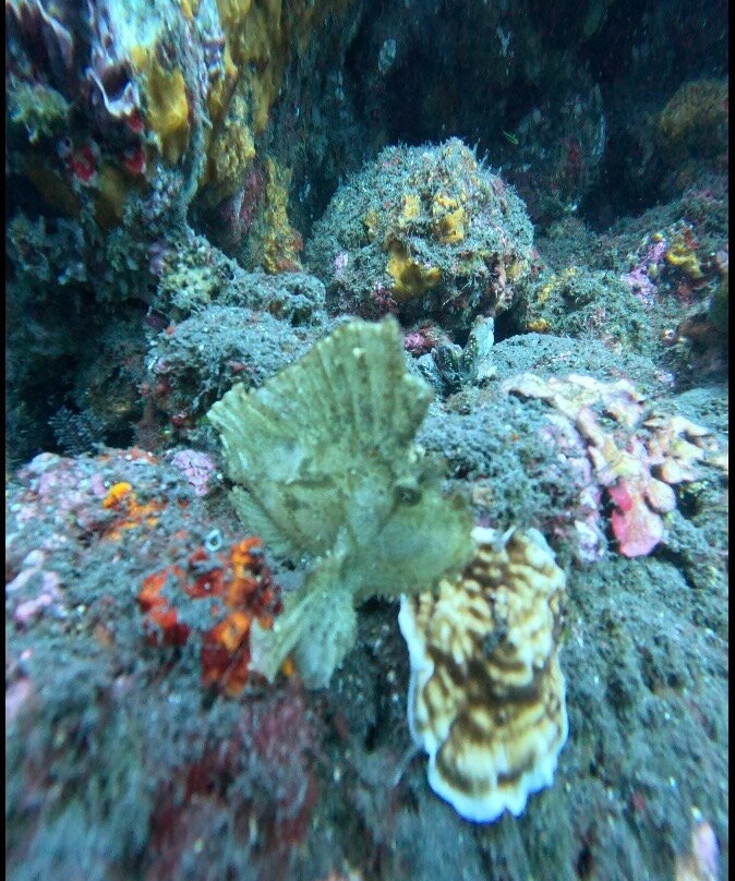 Tulamben Dive-图兰本必去景点