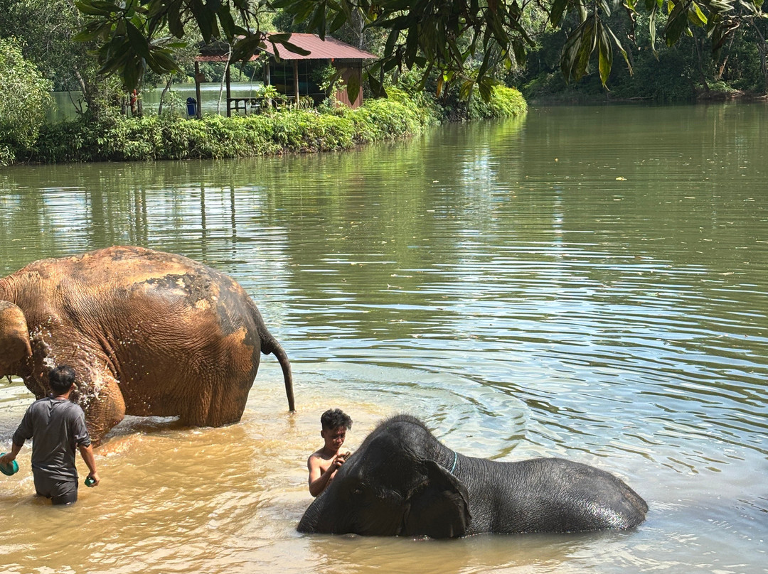 The Lake Phuket Elephant Home-Thep Krasatti必去景点