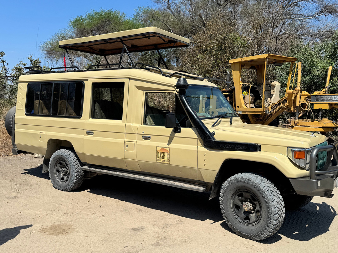 Dashir Lodge & Safaris主图