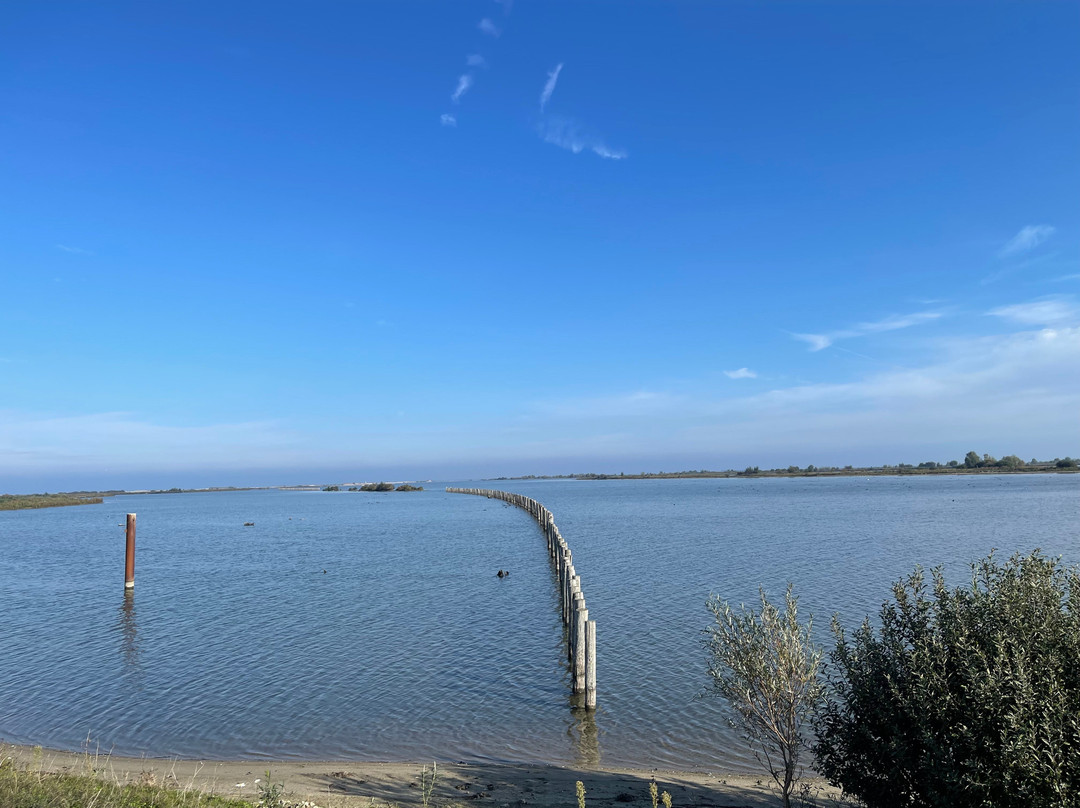Marker Wadden