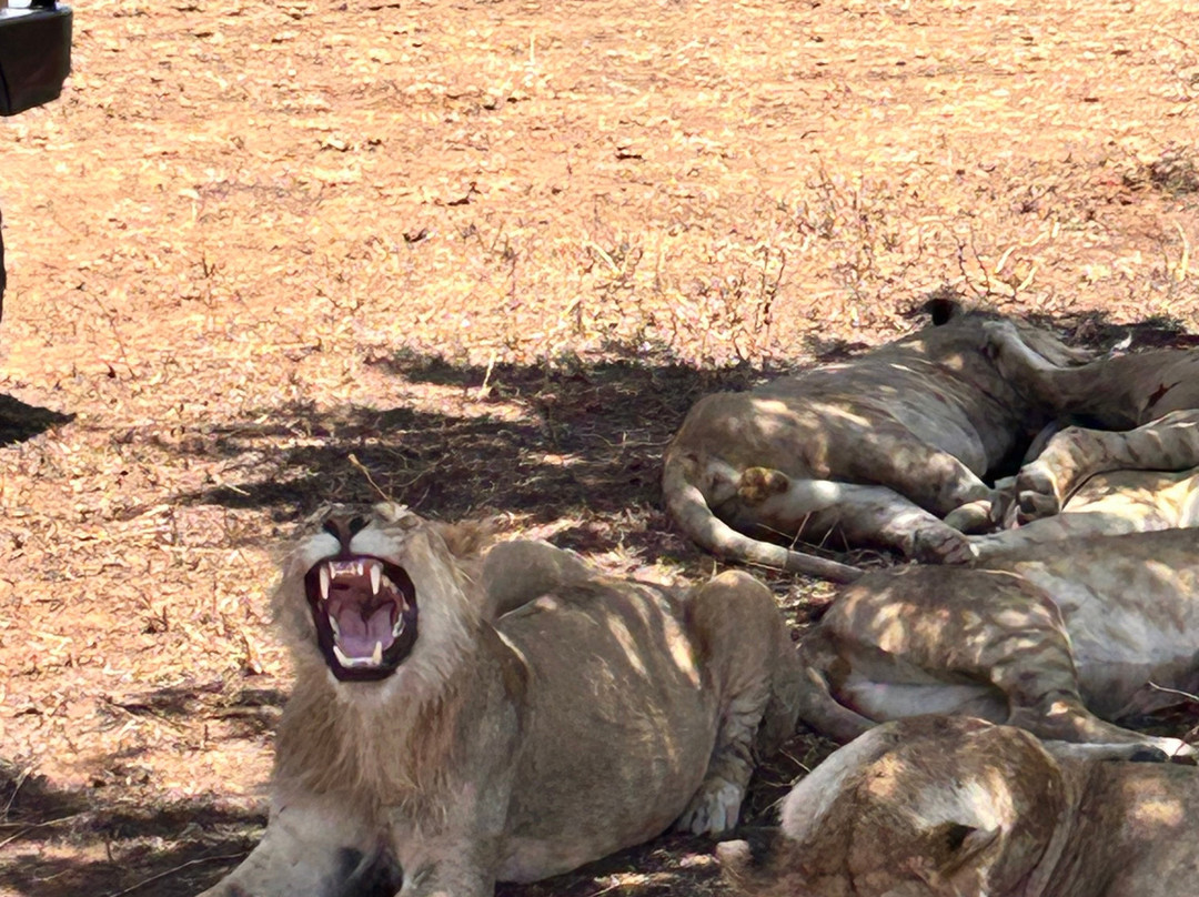 Tanzania-Experience-阿鲁沙必去景点