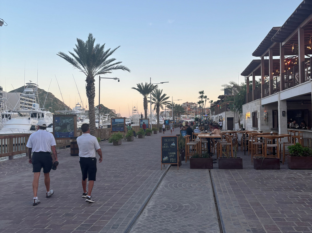 Marina Cabo San Lucas-卡波圣卢卡斯必去景点