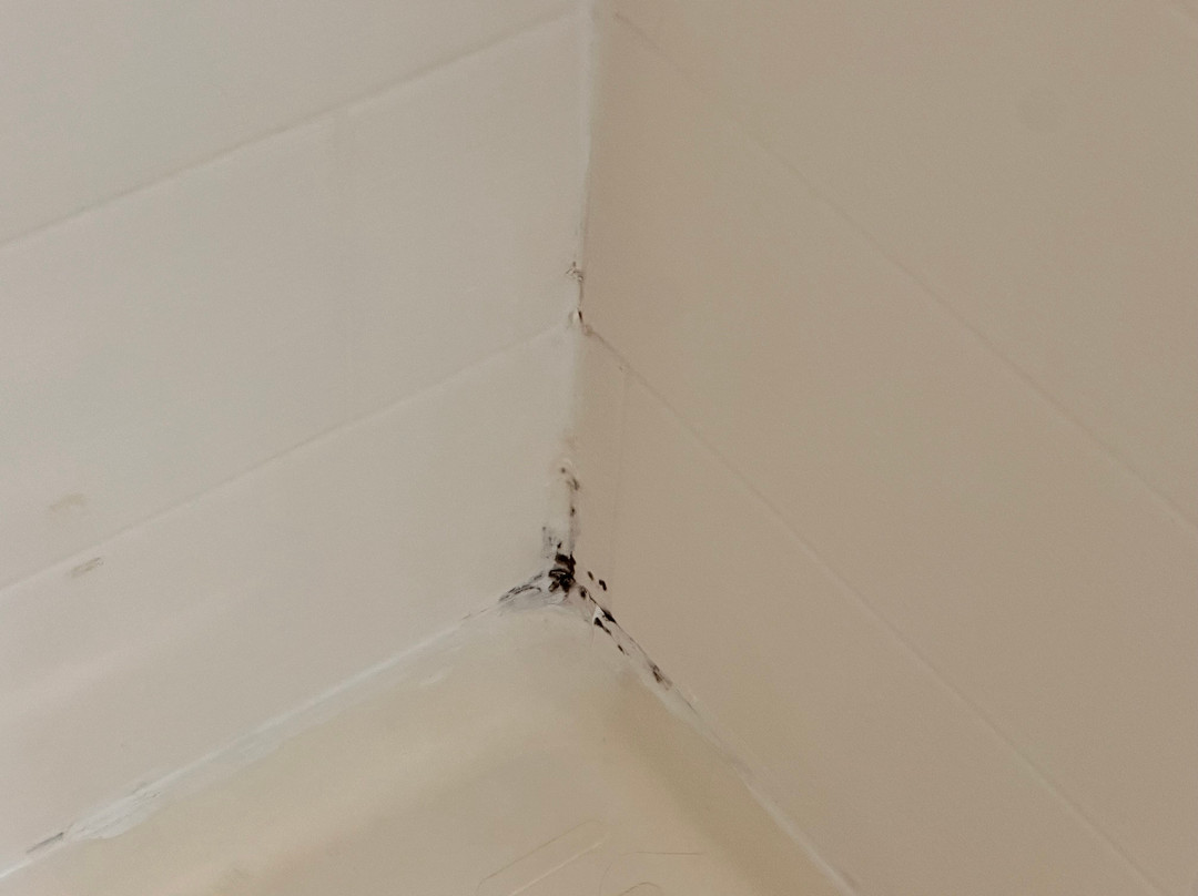 拉克万纳拉昆塔温德姆套房酒店主图