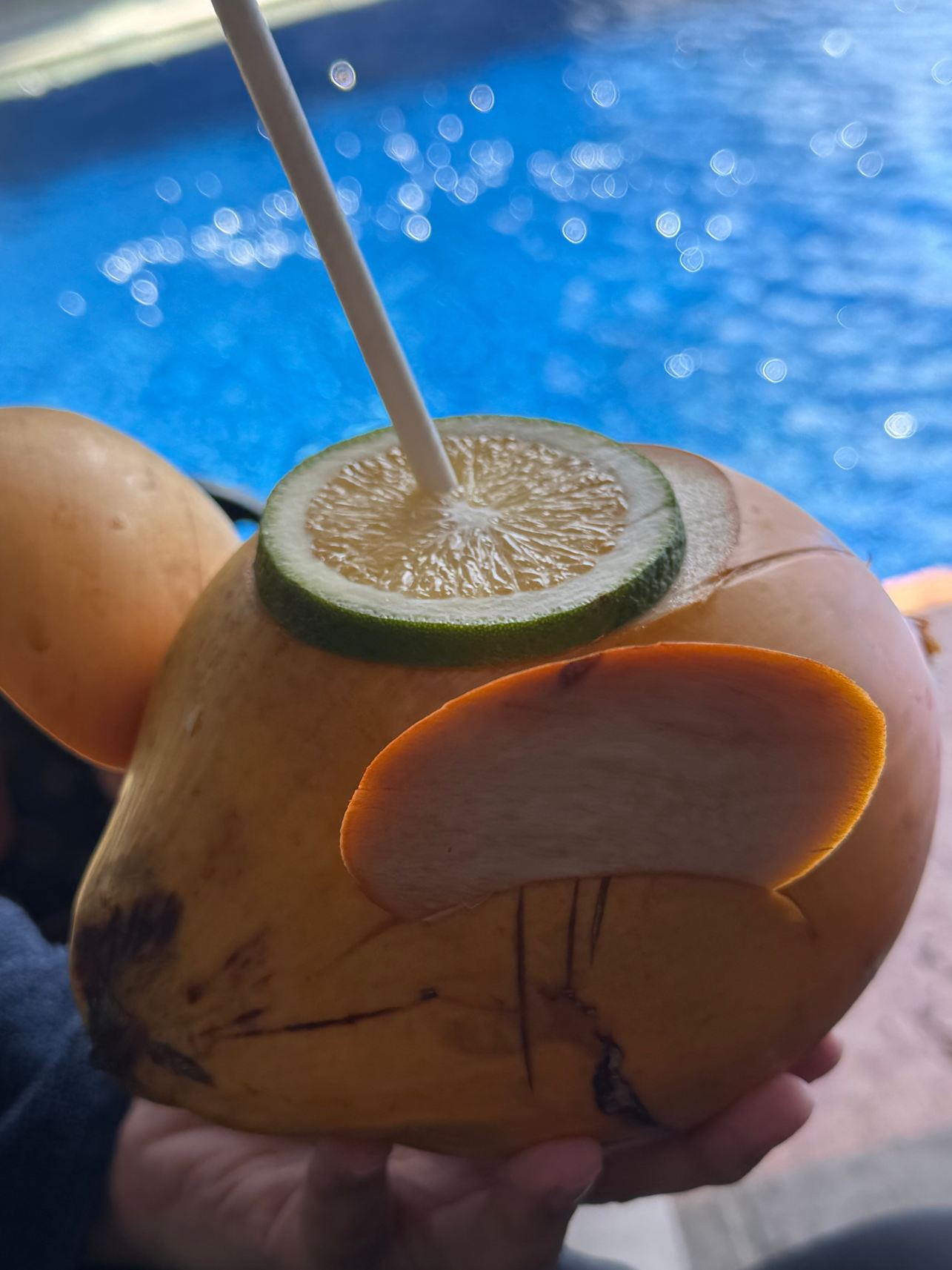 科斯戈德海龟滩喜来登度假酒店-旅行者