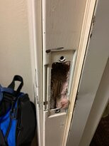 Comfort Inn & Suites主图