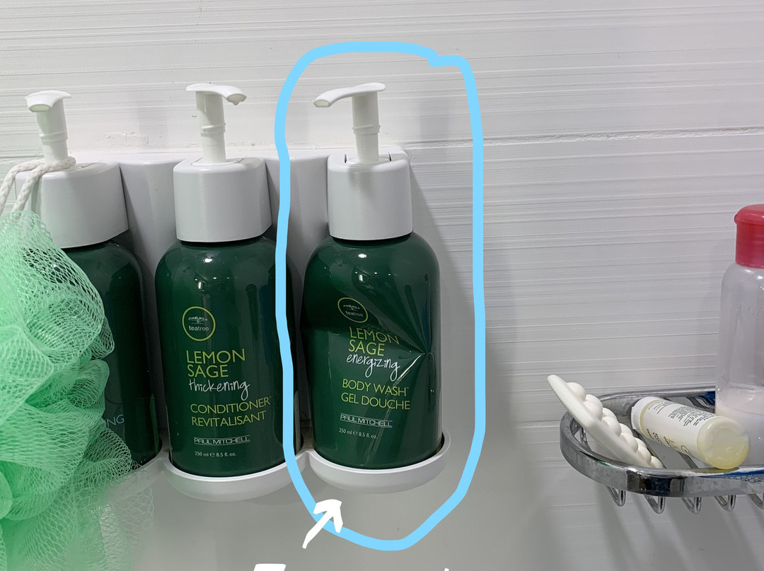 Springhill Suites by Marriott Chattanooga South/Ringgold, GA主图